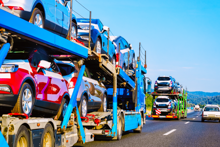 Why You Should Choose Sherpa Auto Transport