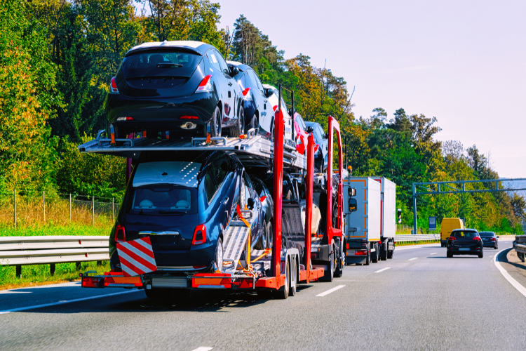 Why You Should Choose Sherpa Auto Transport