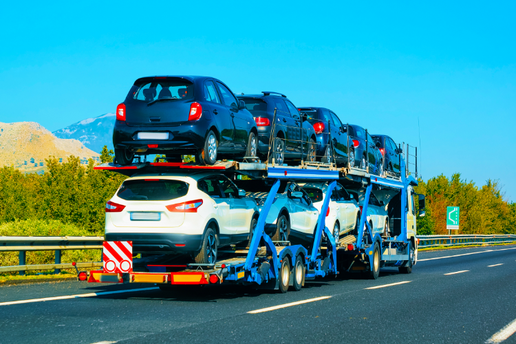 Why You Should Choose Sherpa Auto Transport