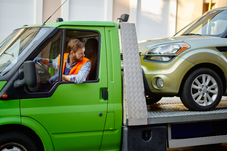 College Car Shipping with Sherpa