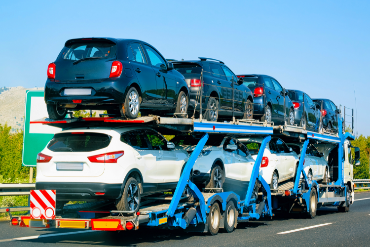 What Are Other Options for Car Transportation?