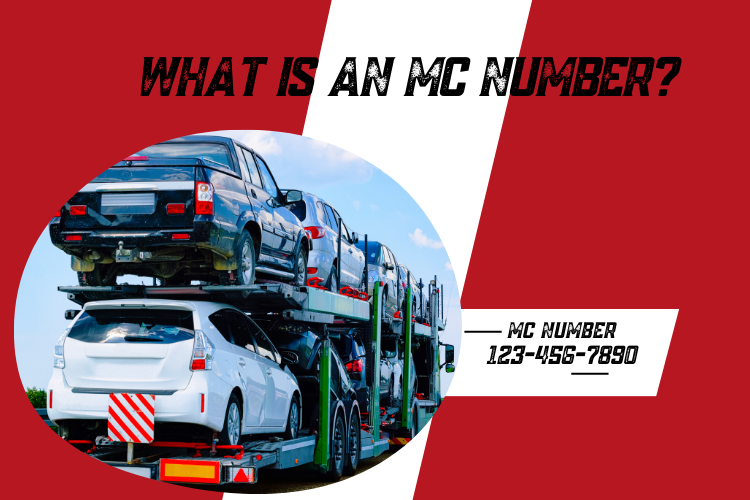 What is an MC Number?