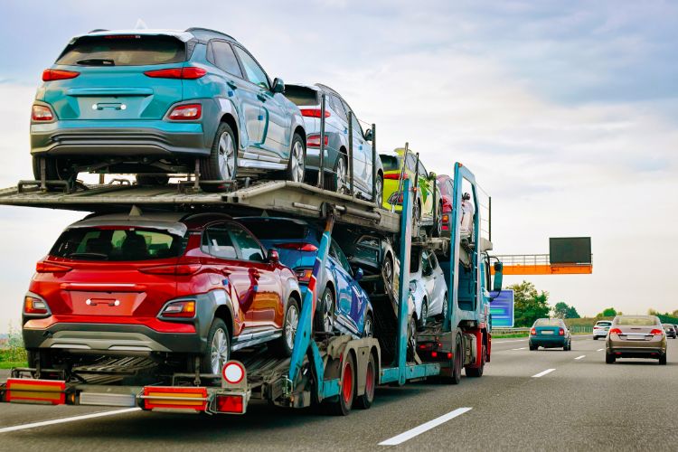 What is Snowbird Auto Transport?