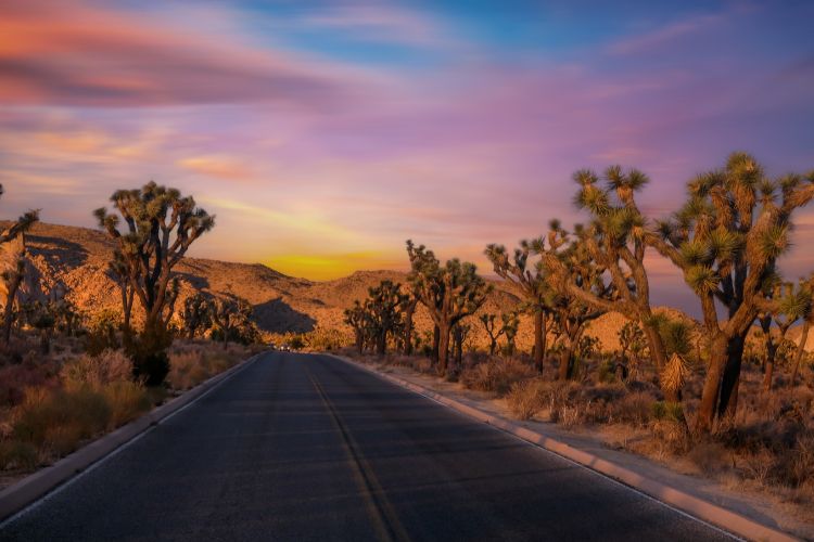 Joshua Tree National Park, California