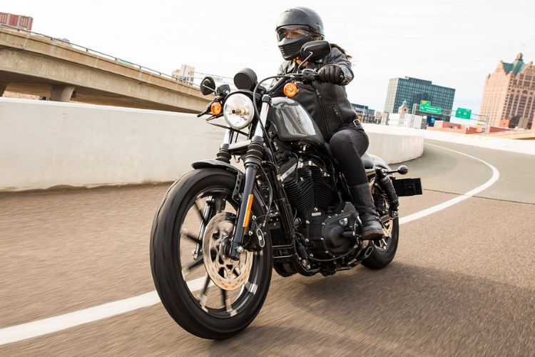 Harley Davidson Iron 883 Rider Cruising