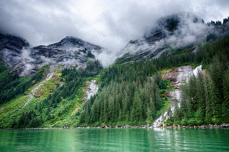 Misty Alaskan mountains with lush green forest