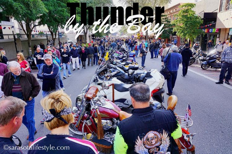 Image Credit: sarasotalifestyle.com
