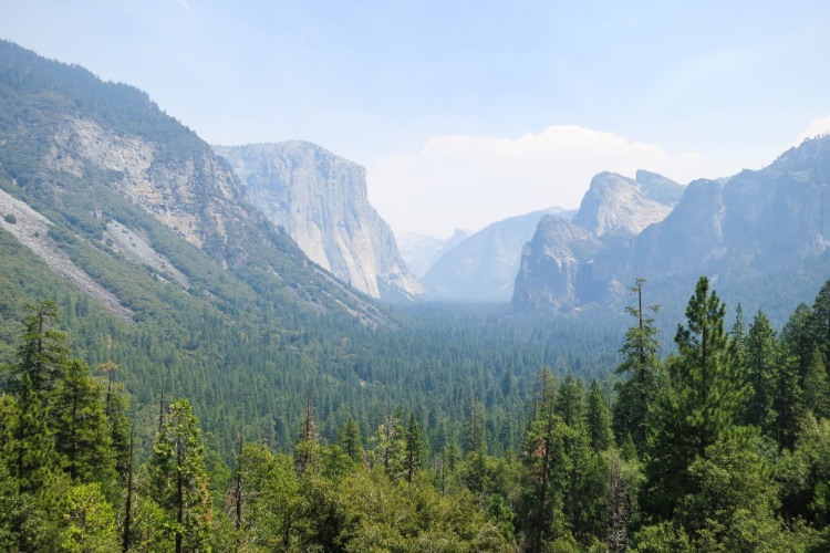 Yosemite Valley Scenic View California Nature