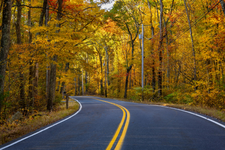 Winding Road Through Massachusetts Autumn Forest
