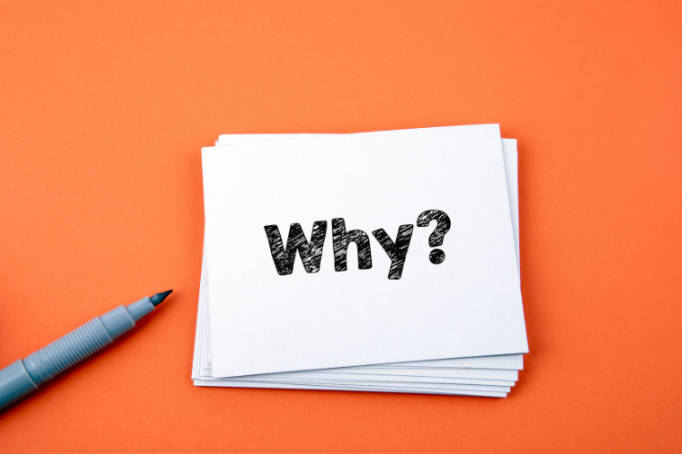 Why You Should Choose Sherpa Auto Transport