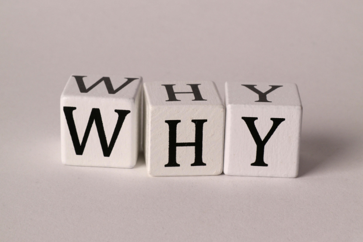Why Choose Sherpa Auto Transport?