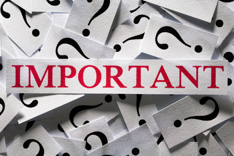 Important Considerations For Vehicle Transport Services