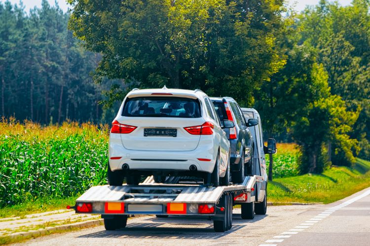 Car Shipping From California To Hawaii