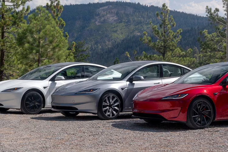 Tesla Model Cars Parked In Nature