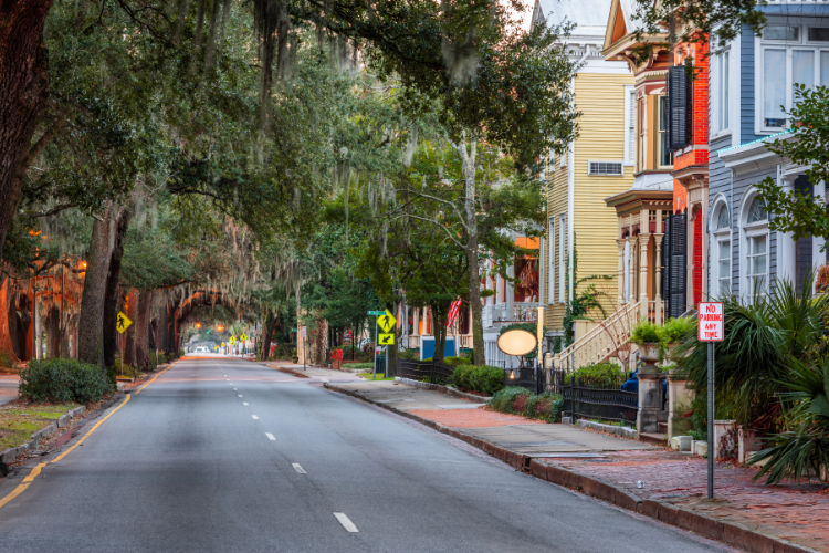 Savannah Historic Street With Spanish Moss Trees