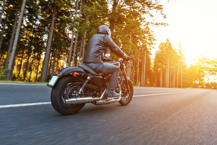 Conventional Touring Motorcycle Riding On Forest Road