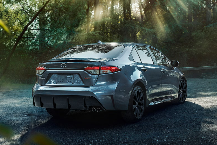Toyota Corolla Parked In Forest